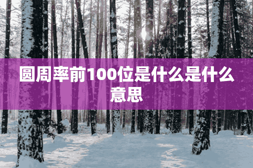 圆周率前100位是什么是什么意思